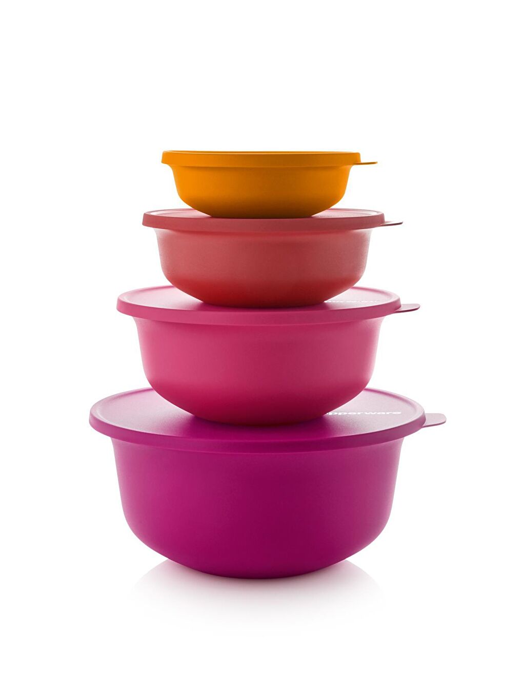 Tupperware Karışık Aloha Kap 4'lü Set 450 ml- 1 Lt- 2Lt- 4 Lt - 1