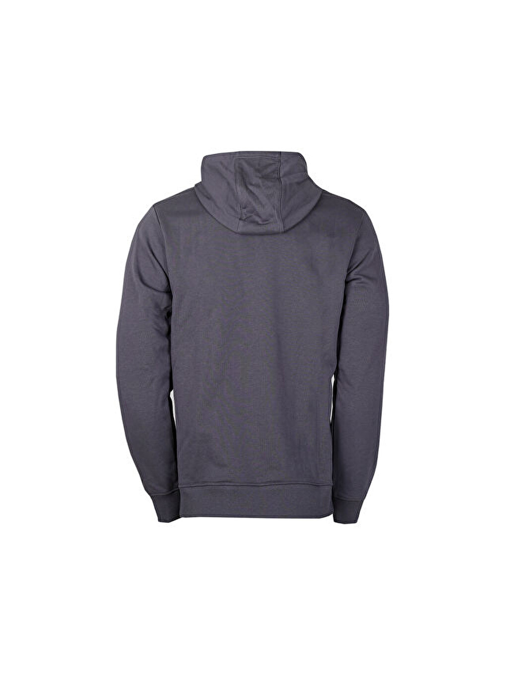 Karışık Tad Ess French Terry Hoodie Erkek Günlük Sweatshirts 52591869 Renkli-1