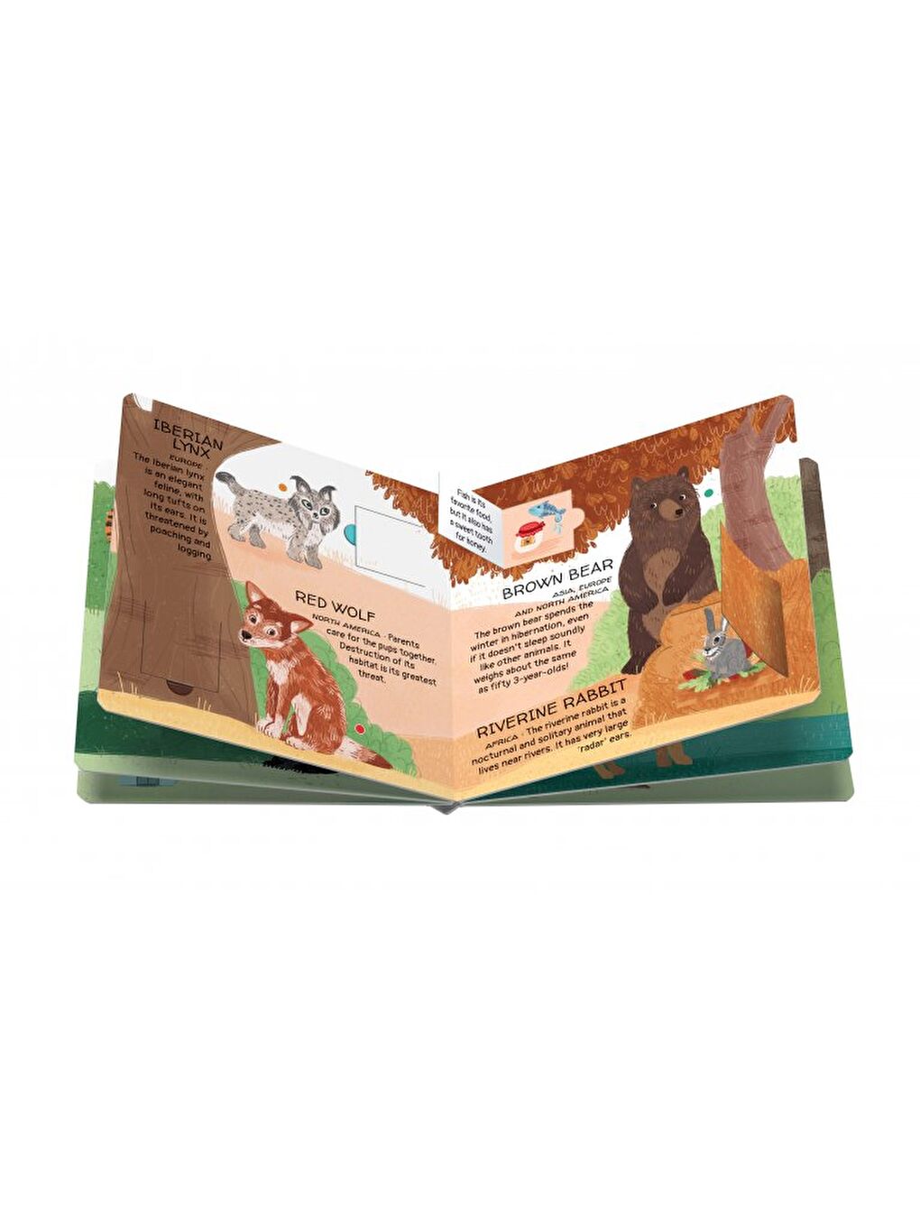 Animals to Save - The Woods-3