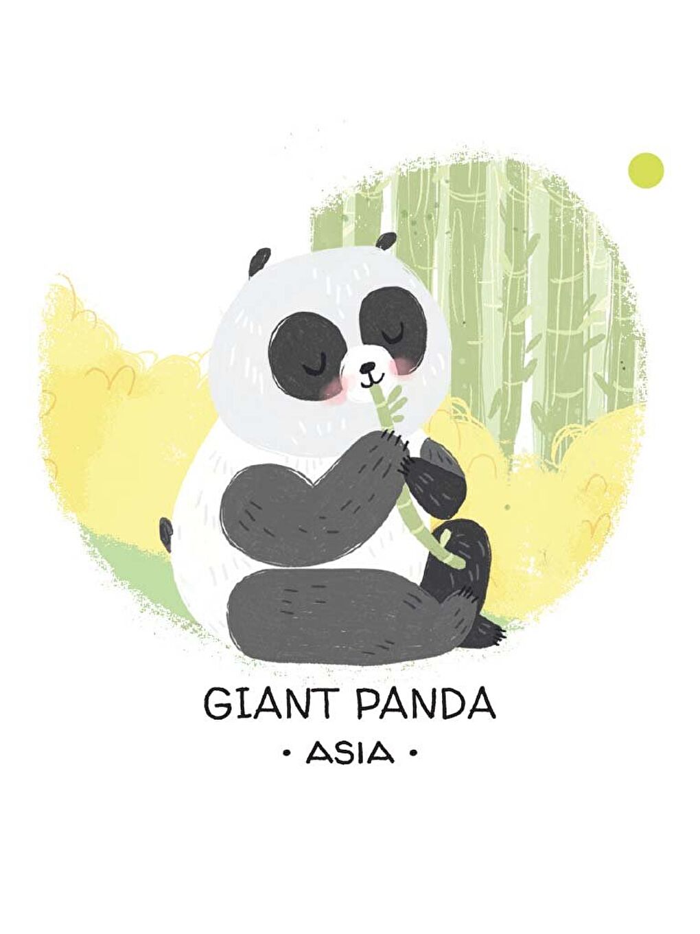 Animals to Save - The Woods-4