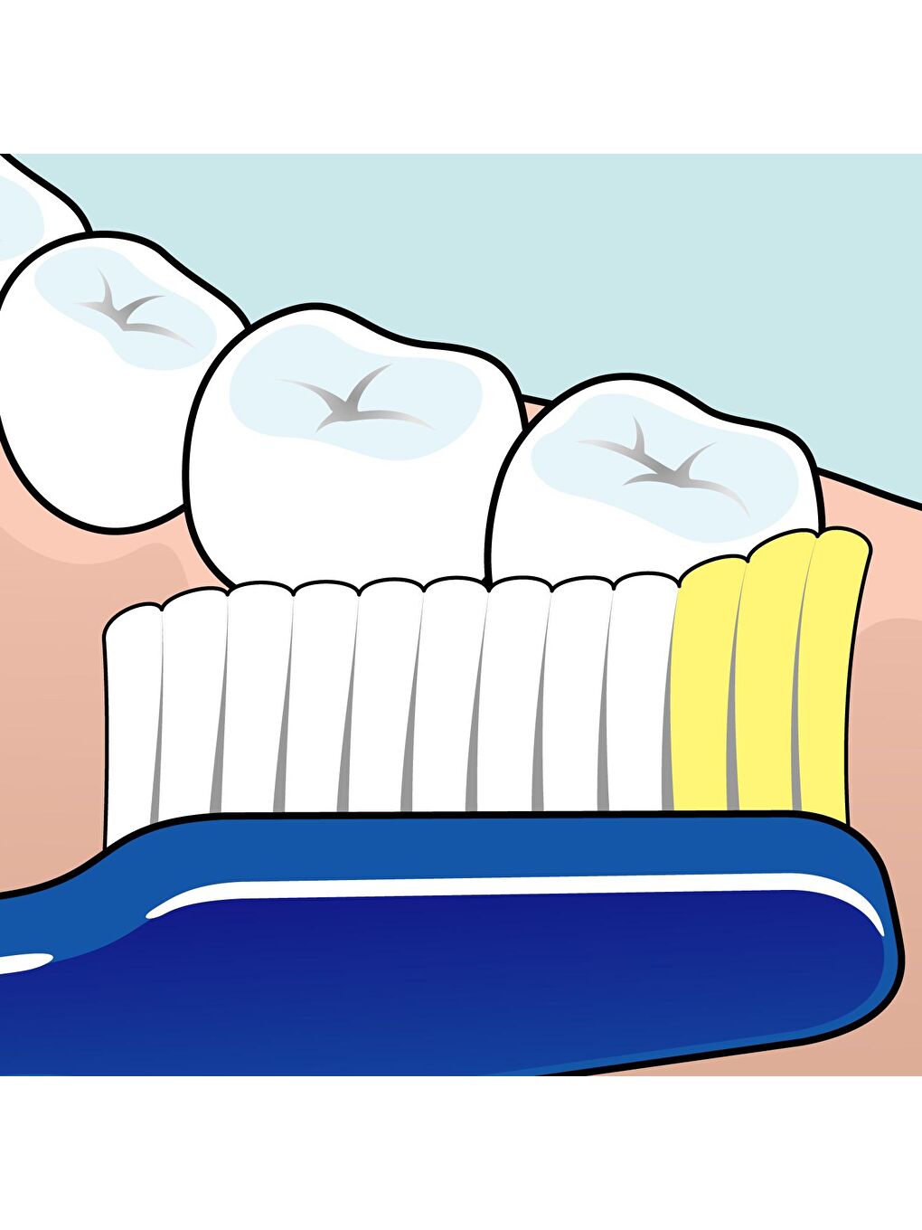 Tepe Renksiz Diş Fırçası Nova X-Soft - 1