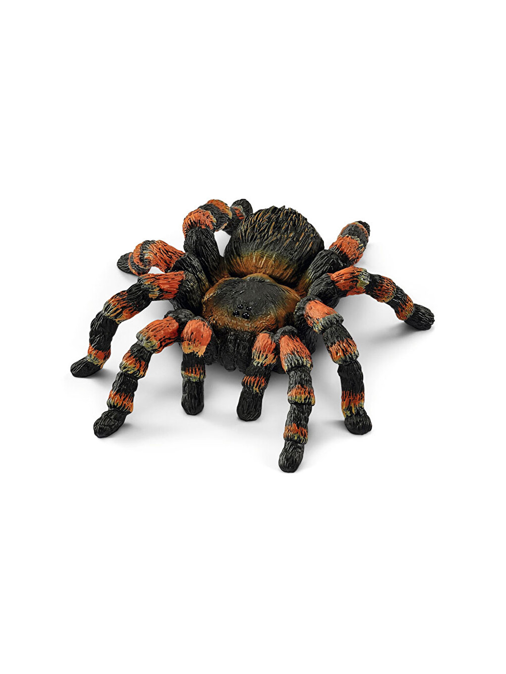Tarantula 14829