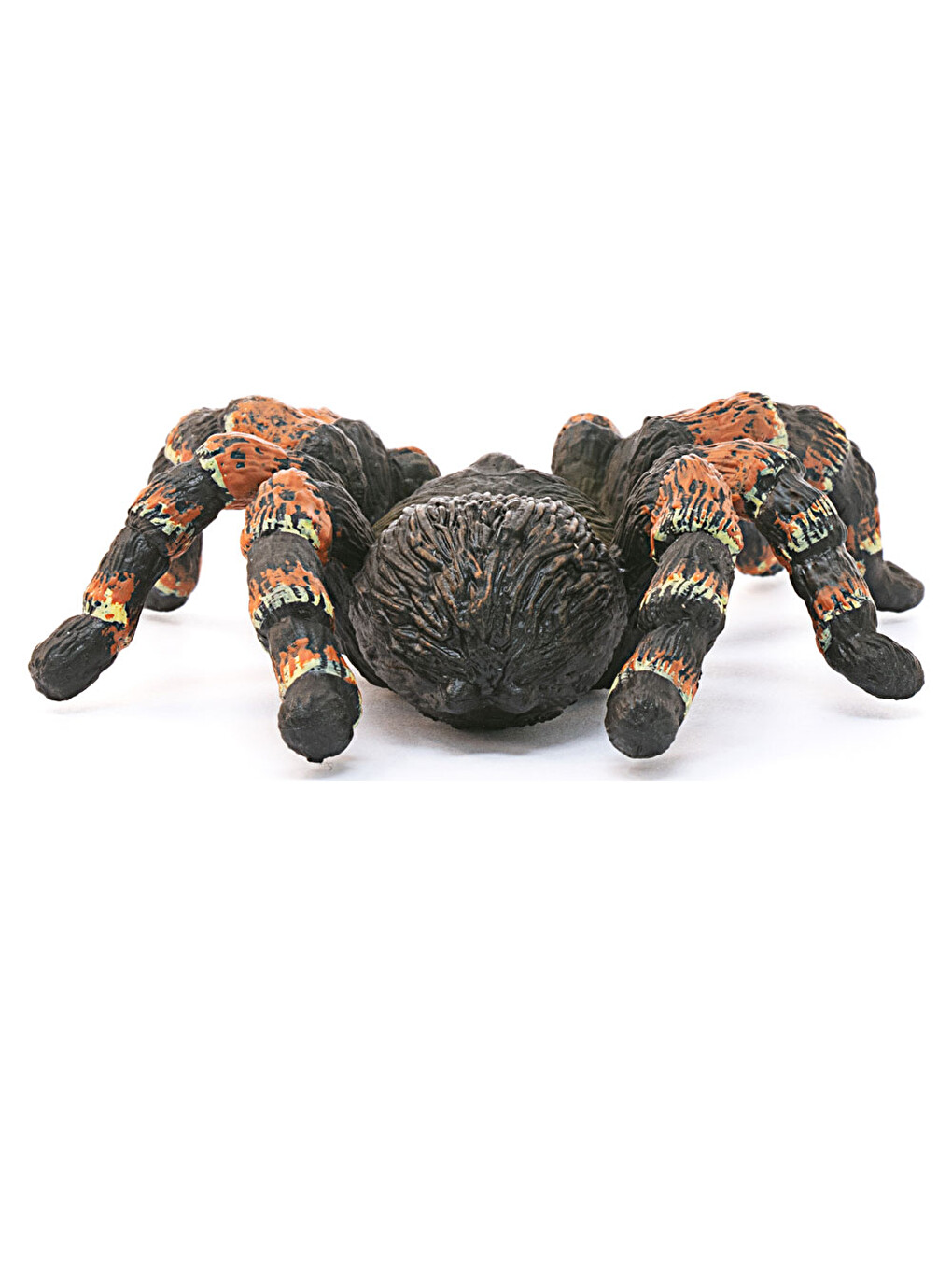 Tarantula 14829-1
