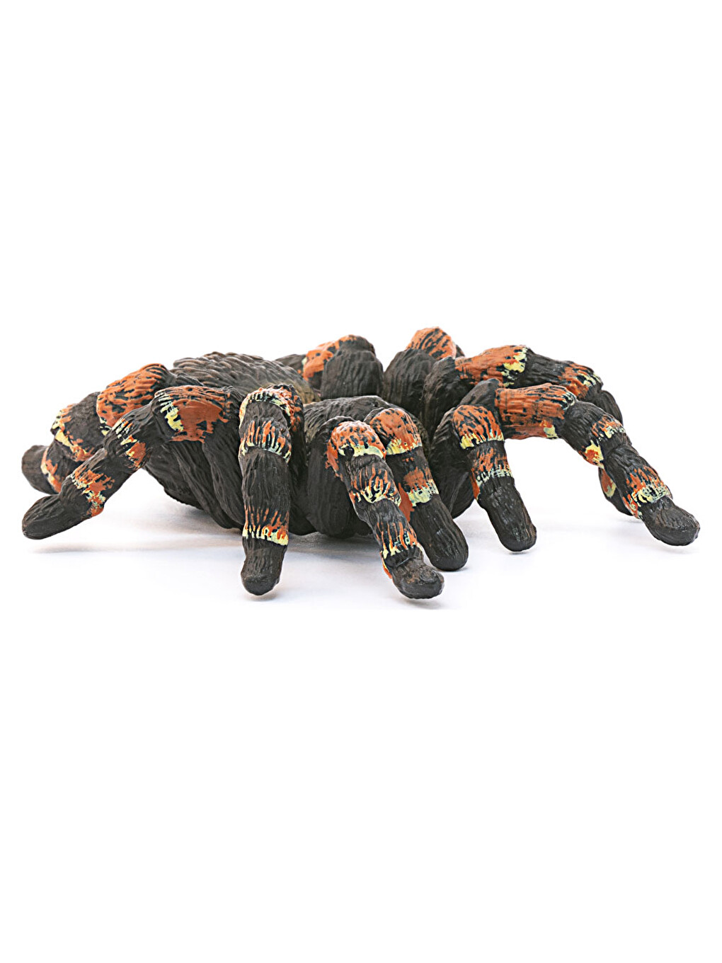 Tarantula 14829-2