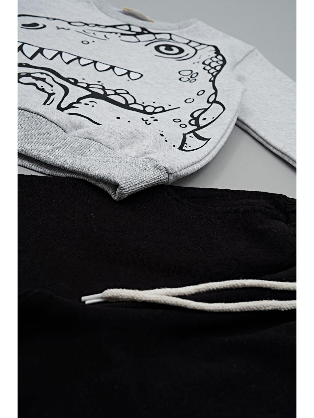 Dinozor Baskılı Siyah Alt Üst Takım-1