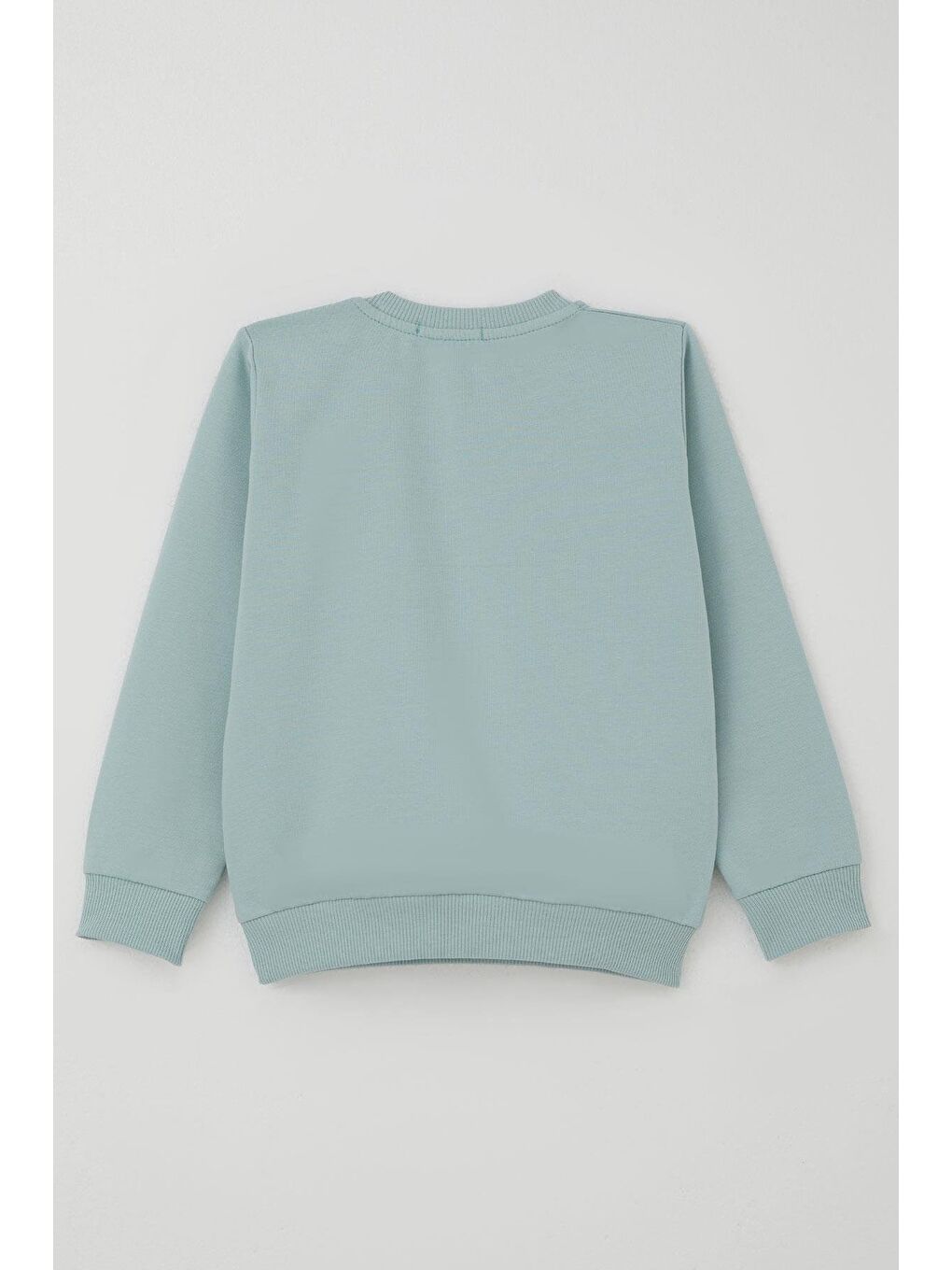 Turkuaz Erkek Çocuk Eşofman Takımı Sevimli Kaplan Nakışlı Su Yeşili (1-4 Yaş)-3