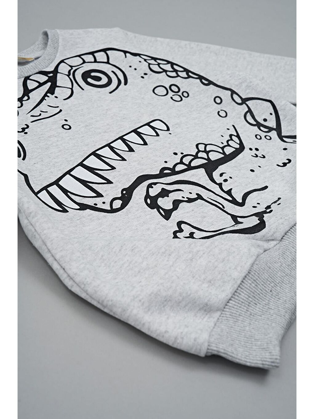 Dinozor Baskılı Siyah Alt Üst Takım-2