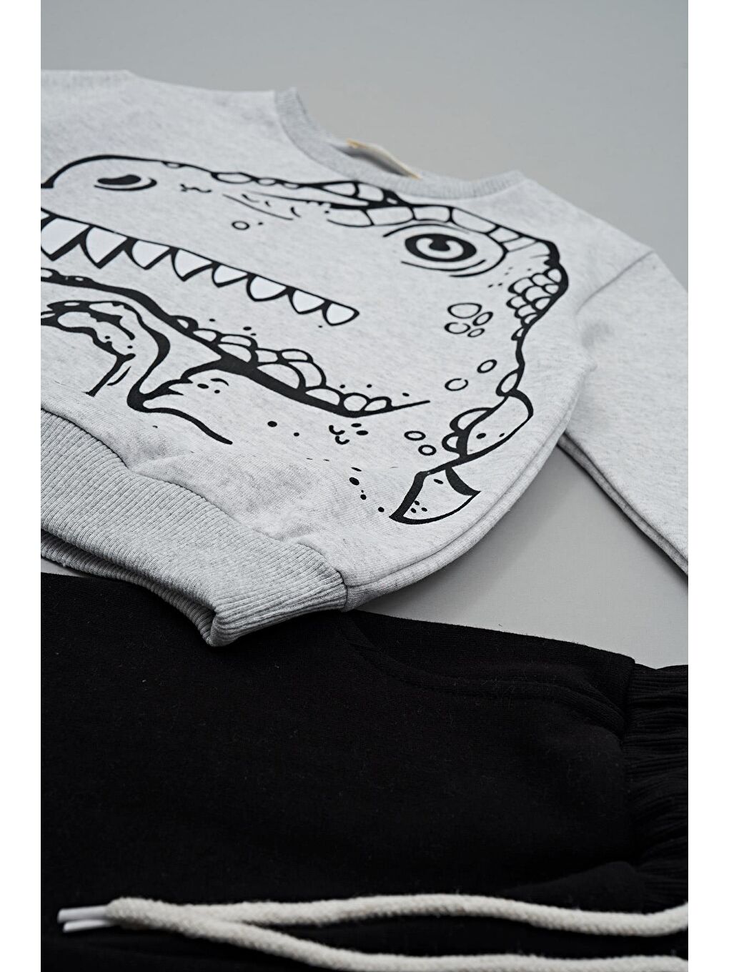 Dinozor Baskılı Siyah Alt Üst Takım-3