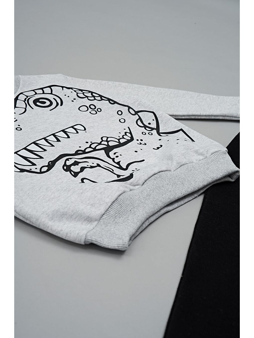 Dinozor Baskılı Siyah Alt Üst Takım-4