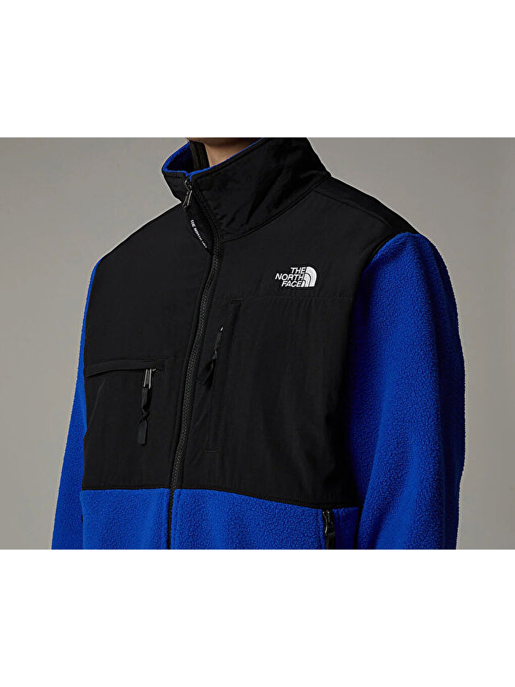 Karışık M Retro Denali Erkek Outdoor Polar Ceket Nf0a88xhef11 Renkli-11