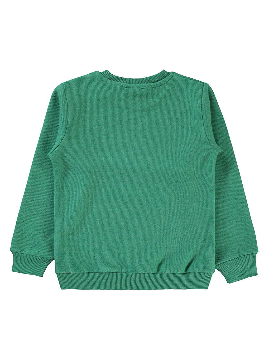 Civil Yeşil Erkek Çocuk Sweatshirt 6-9 Yaş - 1