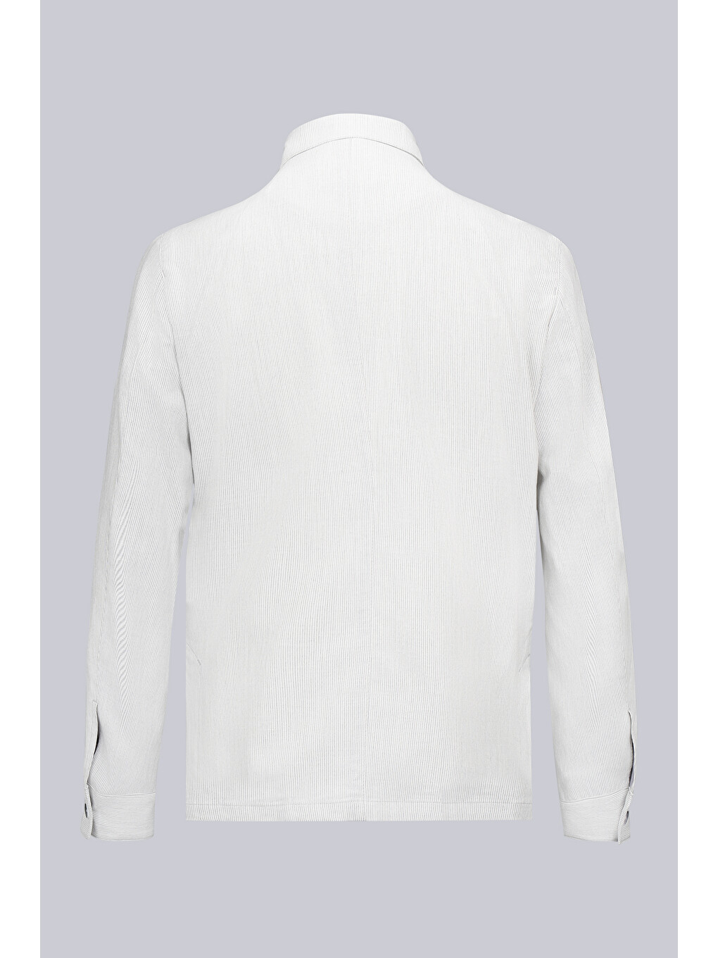 Gri Regular Fit Mono Yaka Çizgili Takım Elbise-2