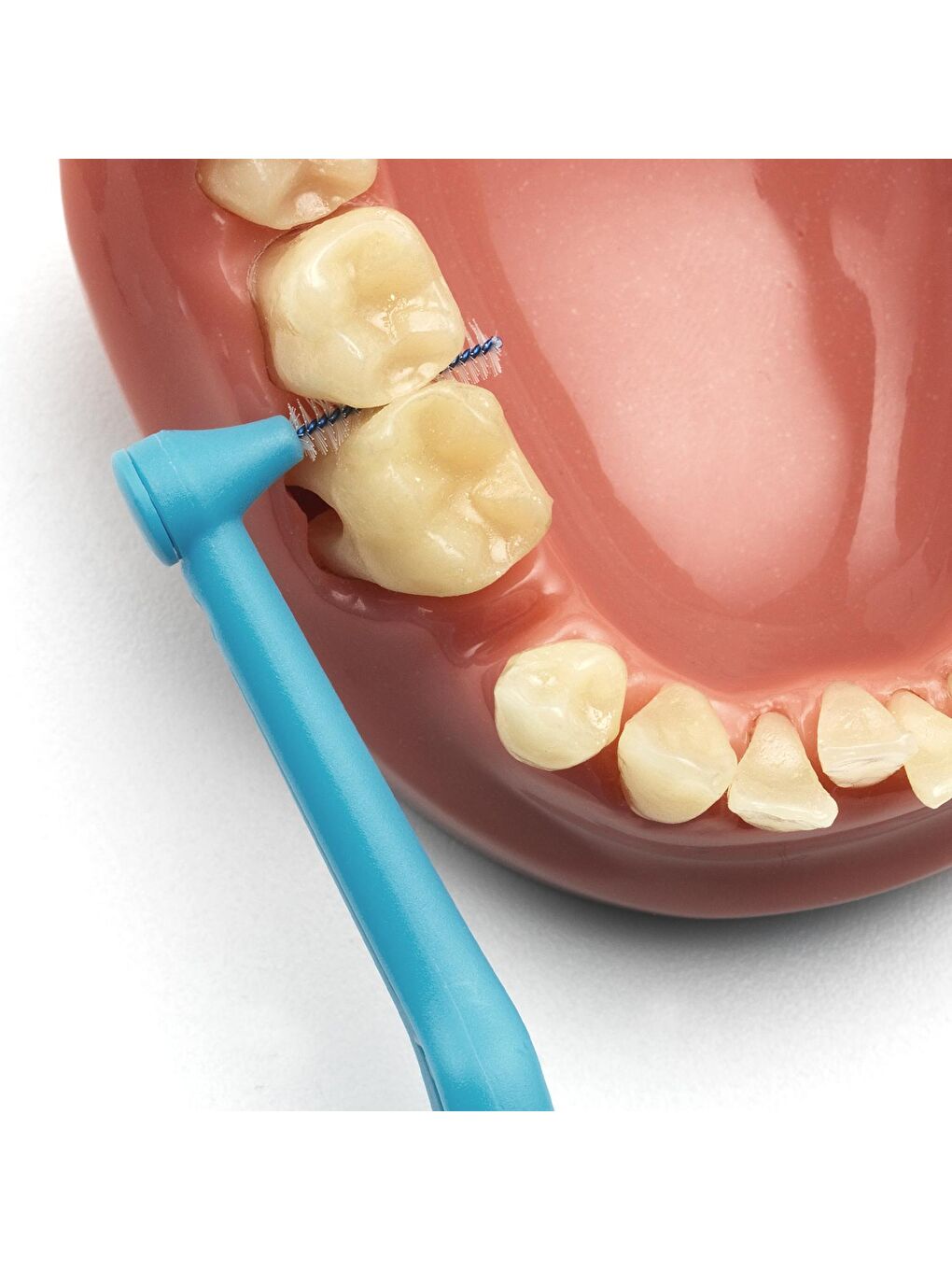 Tepe Renksiz Angle Saplı Arayüz Fırçası Karışık Renk 6 lı - 3