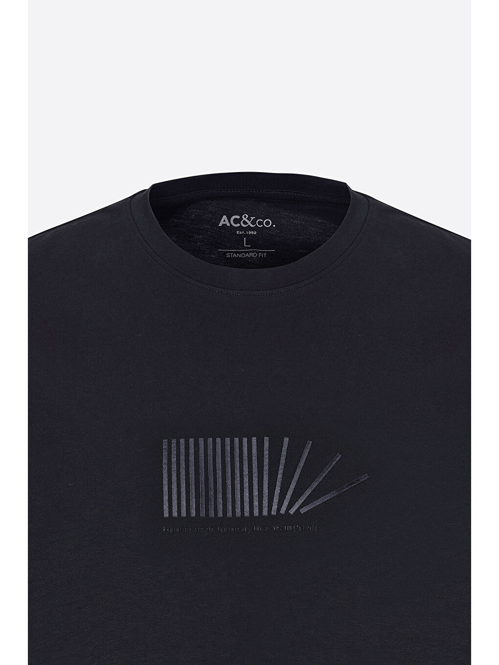 Erkek Siyah Standart Fit Normal Kesim %100 Pamuk Bisiklet Yaka Tişört-5