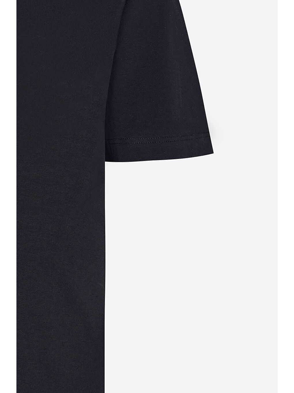 Erkek Siyah Standart Fit Normal Kesim %100 Pamuk Bisiklet Yaka Tişört-6