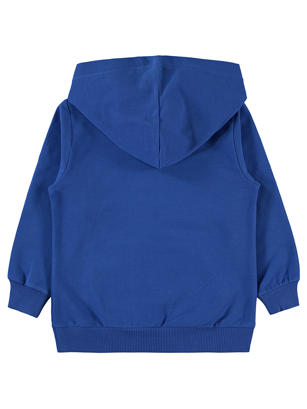 Boys Erkek Çocuk Kapüşonlu Sweatshırt 2-5 Yaş Saks Mavisi-1