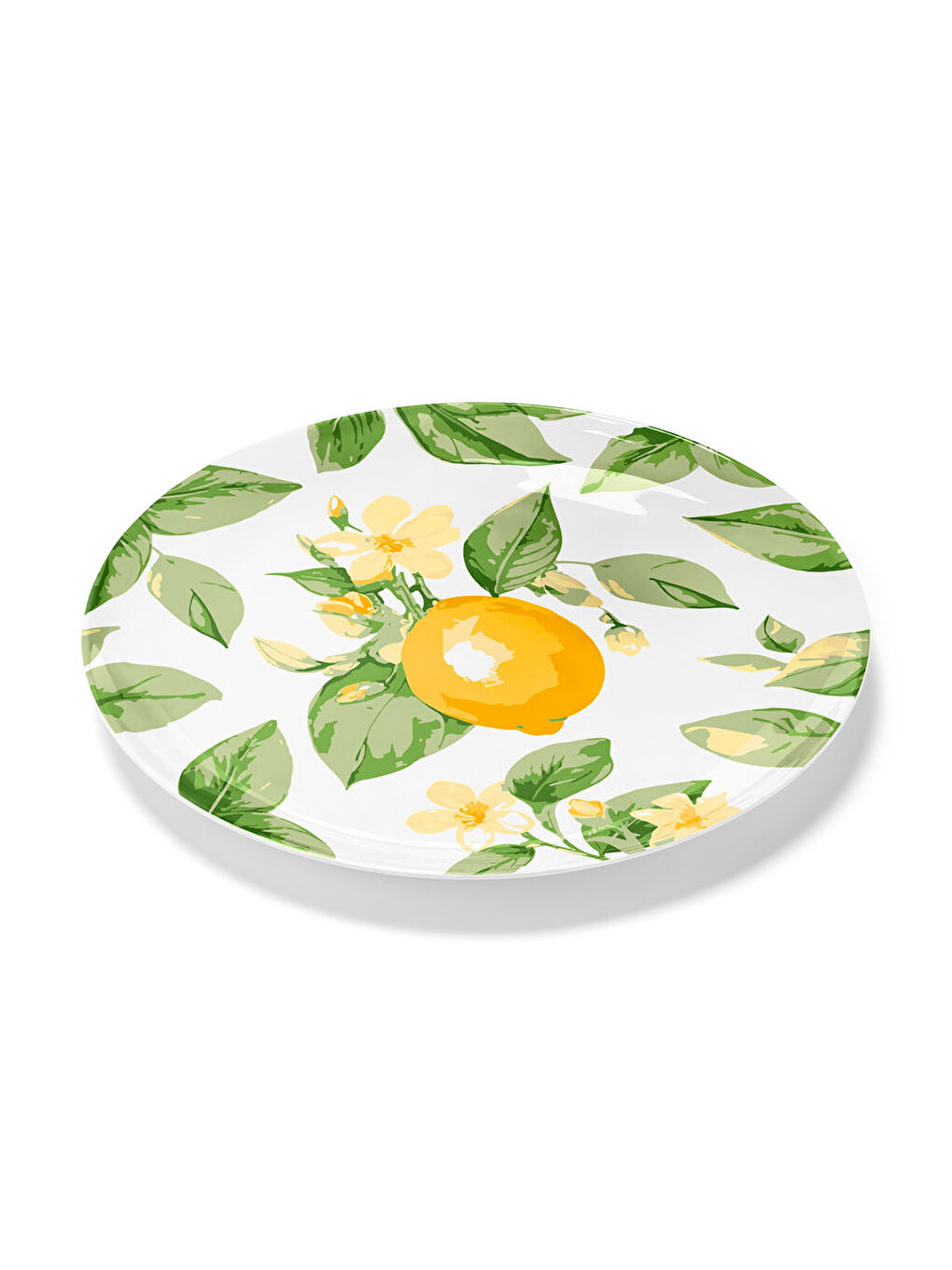 Renksiz Büyük Tabak, 34 cm, Melamin-1