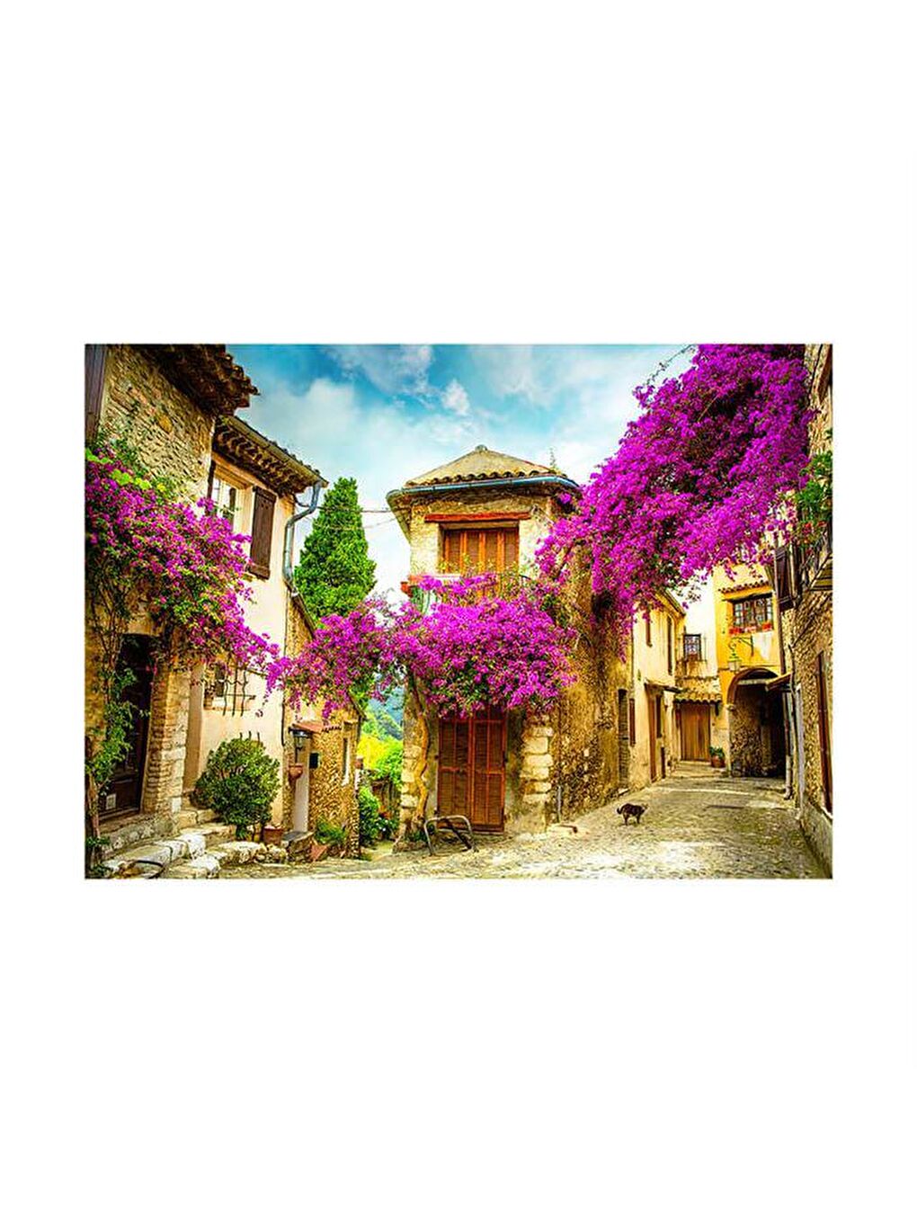 Blue Focus Karışık 1000 Parça Puzzle Provence - 1