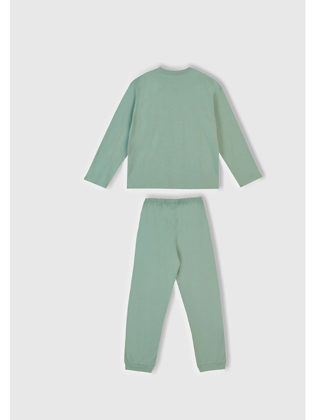 Erkek Çocuk Açık Yeşil Üstü Disney Baskılı Altı Paçası Lastikli Pijama Takımı-1