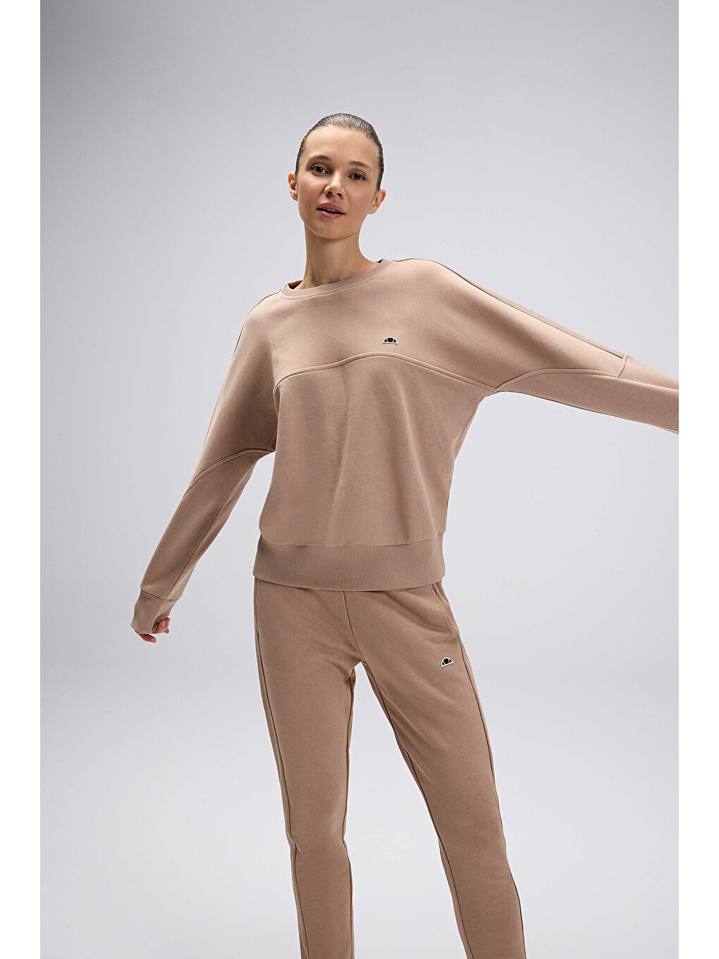 Bej Logolu Pamuklu Regular Fit Bisiklet Yaka Kadın Sweat EF567-BG-4