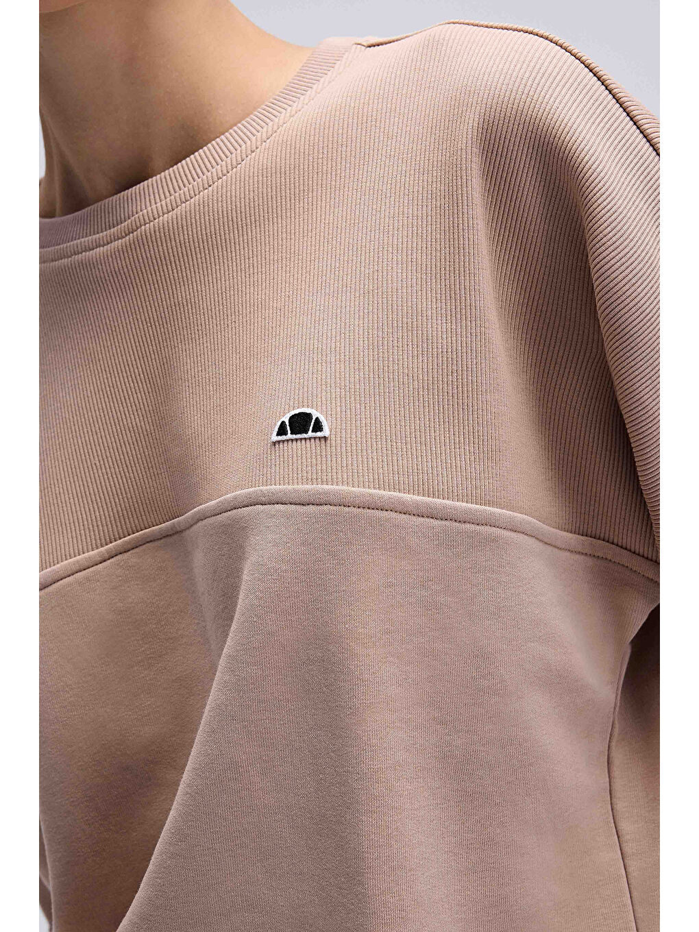 Bej Logolu Pamuklu Regular Fit Bisiklet Yaka Kadın Sweat EF567-BG-6