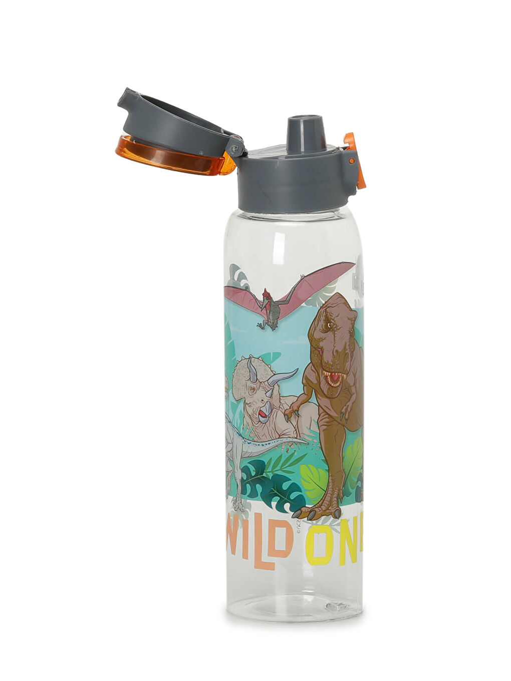 BTS WILD DINO MTR 4PR Turuncu Erkek Çocuk Beslenme Kabı-1