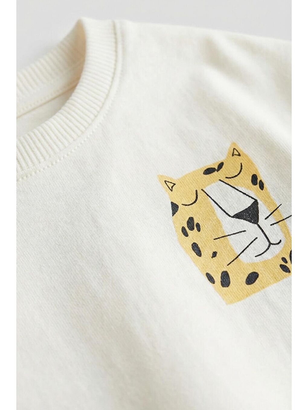 Karışık Erkek Çocuk Pamuklu Ekru Leopar Armalı T-Shirt Ve Çizgili Şort Eşofman Takım - Yazlık Rahat Kombin-2