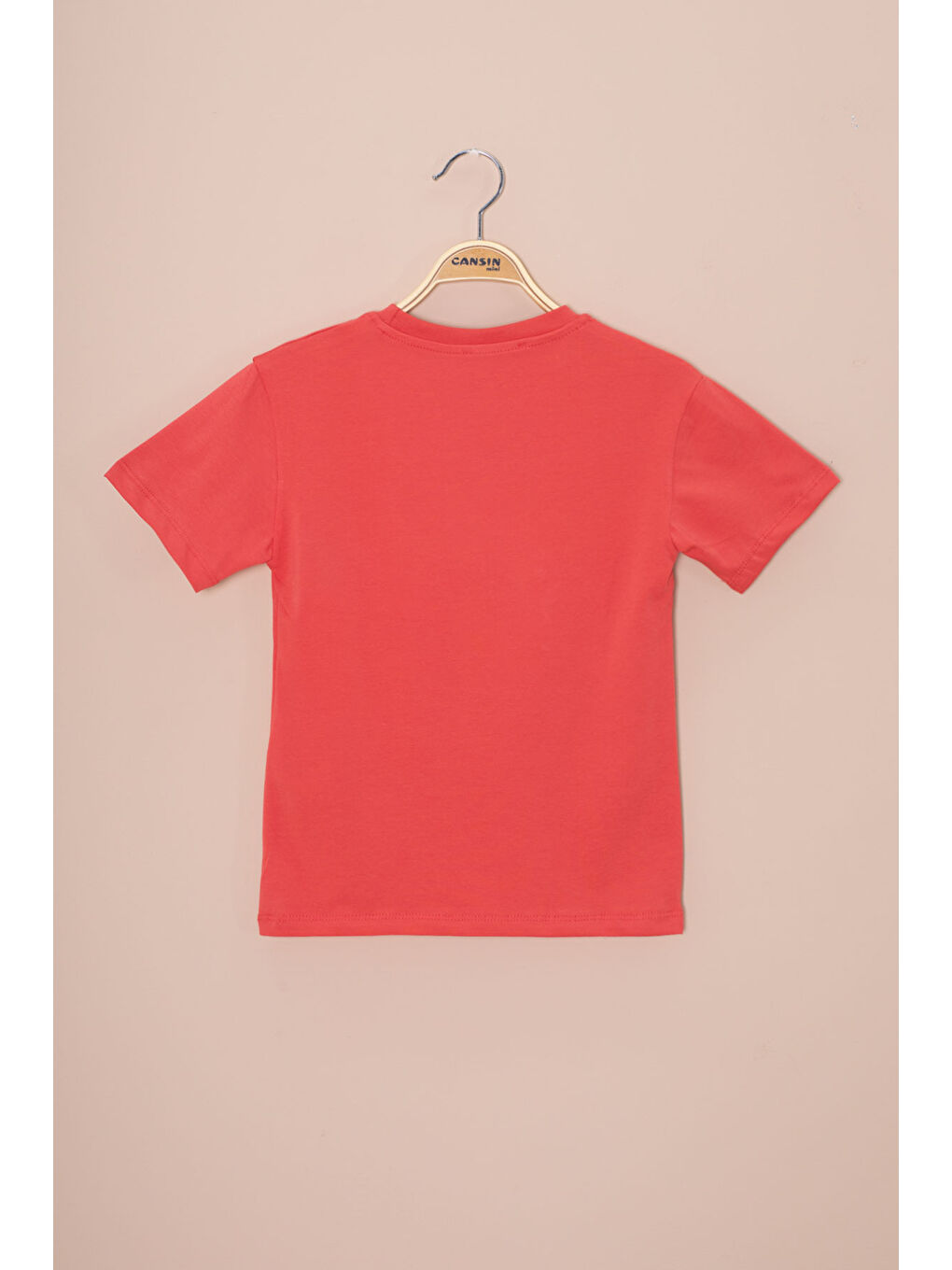 Kahverengi Kiremit Araba Baskılı Nakış Detaylı Erkek Çocuk Bisiklet Yaka Tişört 20954-2