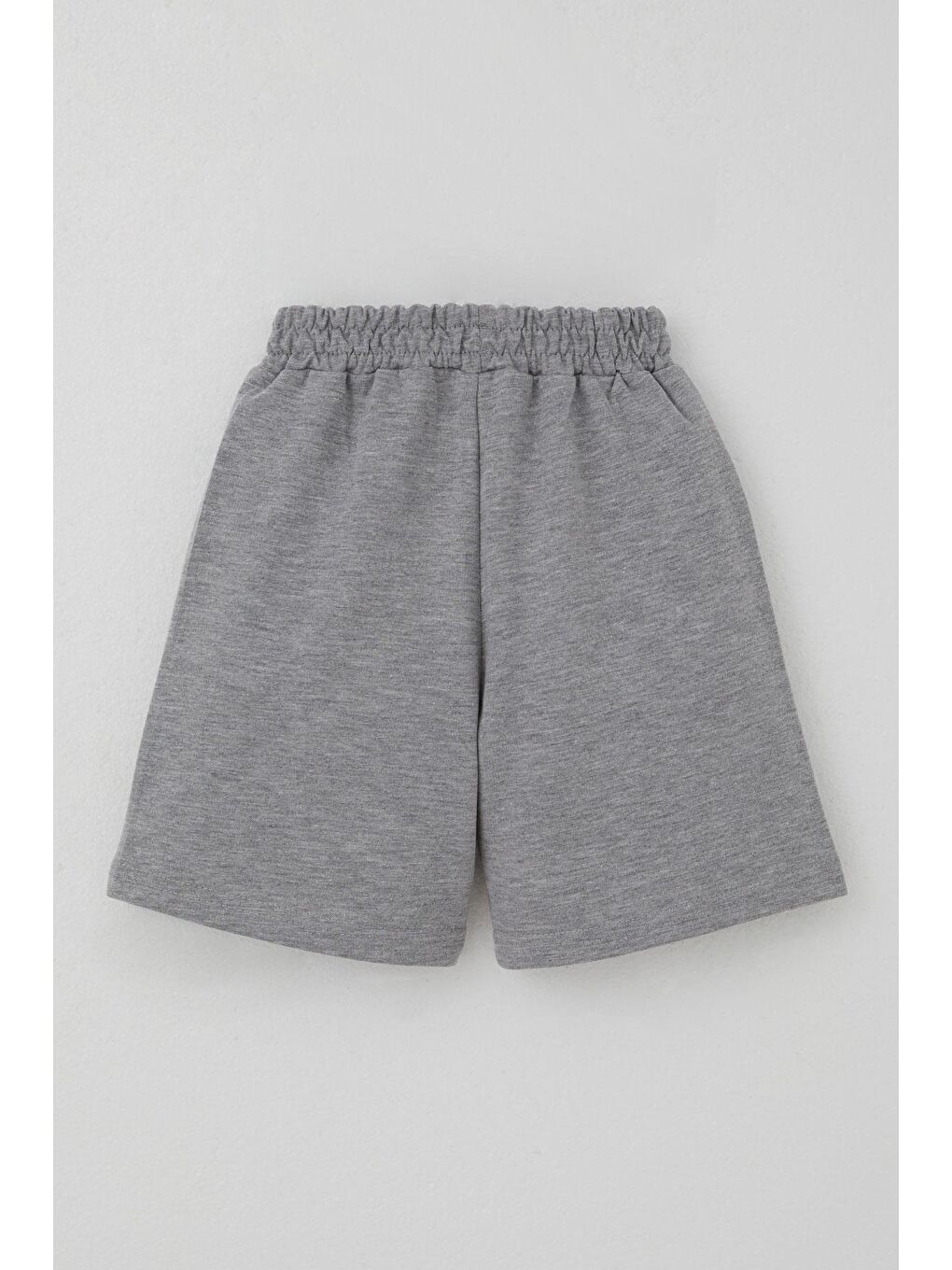 Erkek Çocuk Şortlu Takım Sırt Kısmı Sörfçü Dinozor Baskılı Açık Mavi (2-6 Yaş)-4