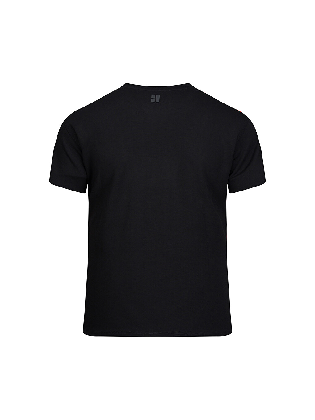 Siyah Regular Fit Bisiklet Yaka Tişört-2