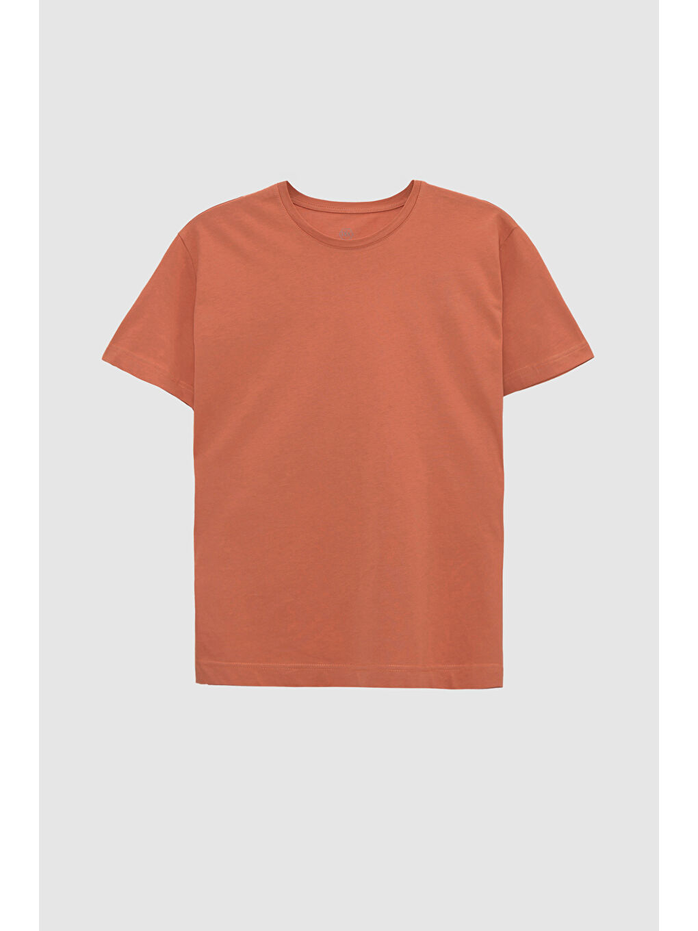 Kahverengi Comfort Tarçın %100 Pamuk Tişört-3