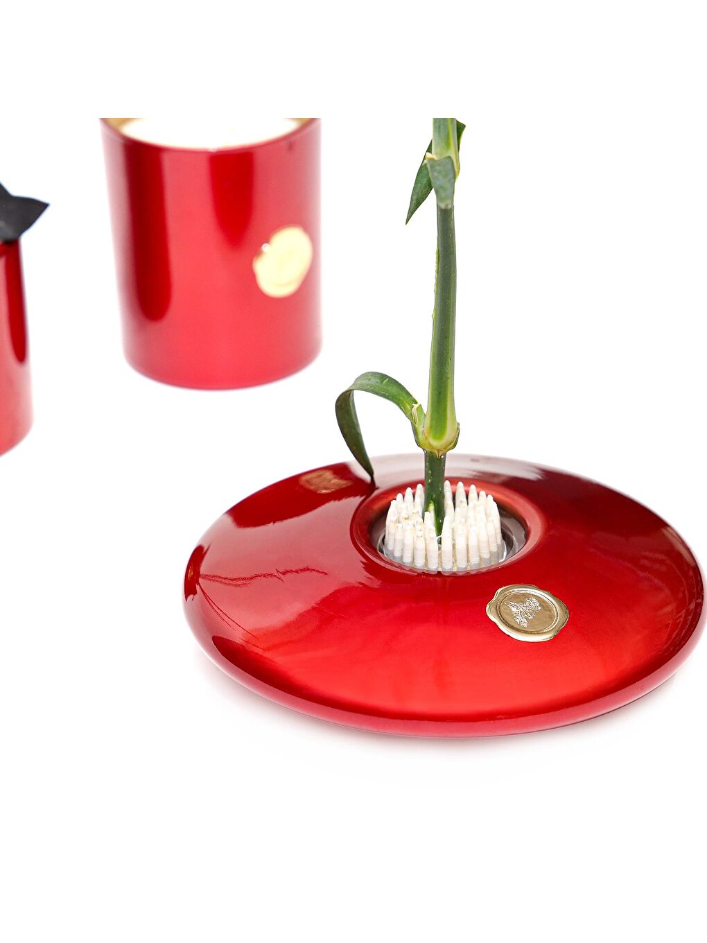 Flora Design-Elegance Kırmızı Cam Vazo-1