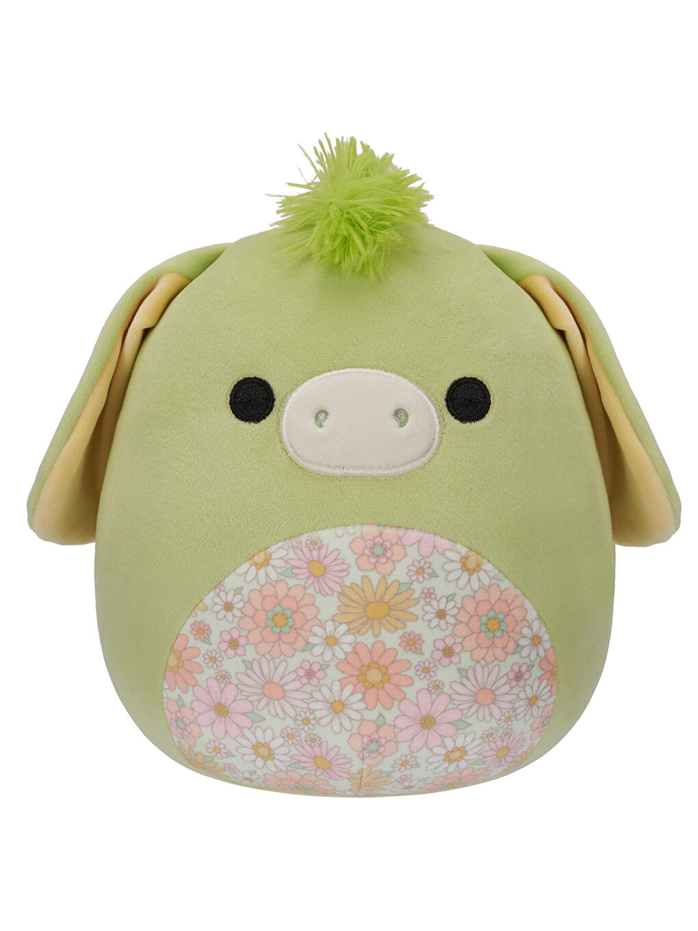 Eşek Juniper 20cm SQCR05390