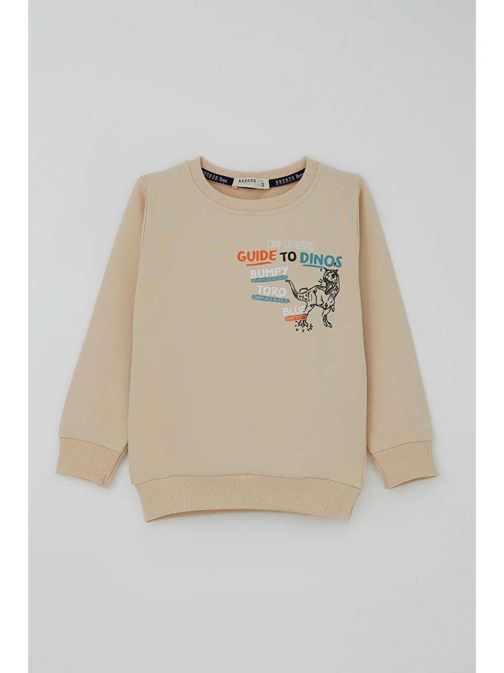 Ekru Erkek Çocuk Eşofman Takımı Dinozor Kampı Sırt Baskı Detaylı Krem (2-6 Yaş)-1