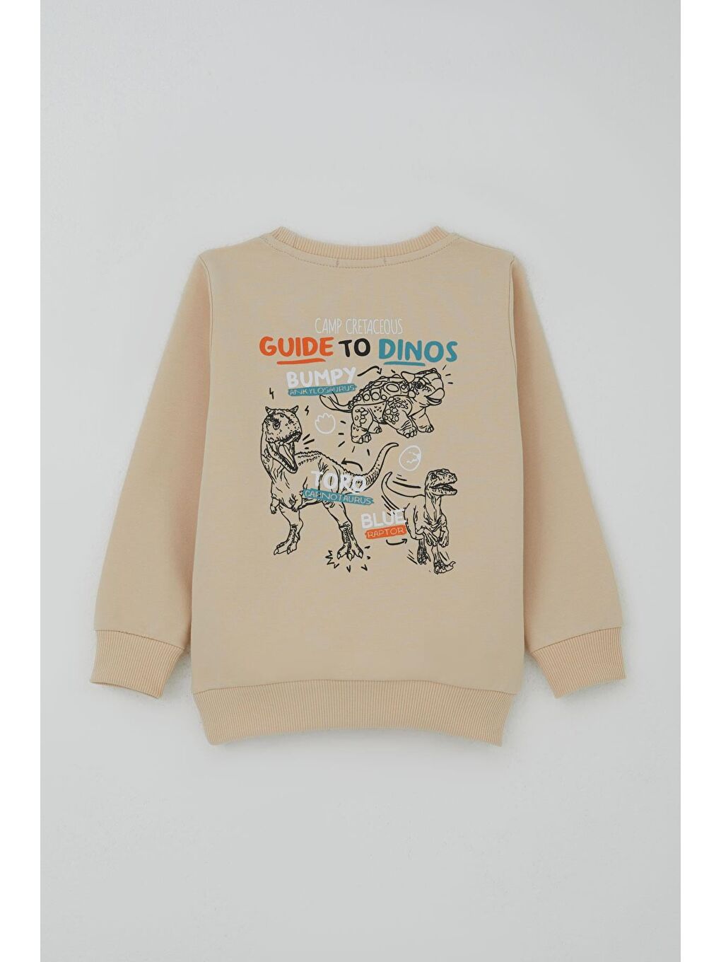 Ekru Erkek Çocuk Eşofman Takımı Dinozor Kampı Sırt Baskı Detaylı Krem (2-6 Yaş)-3
