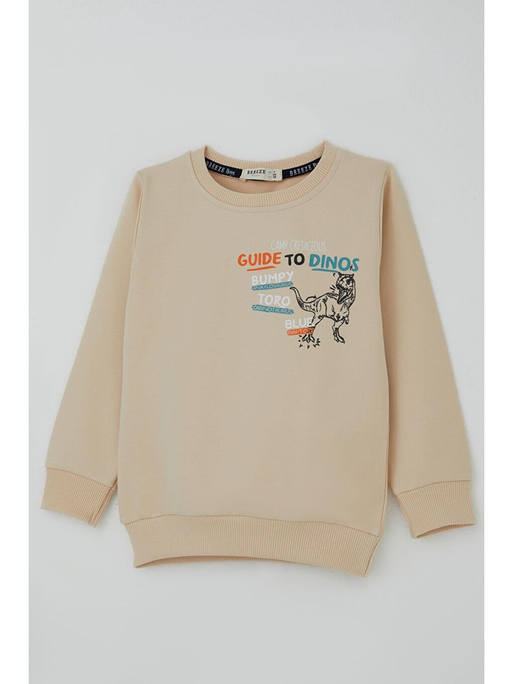 Ekru Erkek Çocuk Eşofman Takımı Dinozor Kampı Sırt Baskı Detaylı Krem (2-6 Yaş)-5