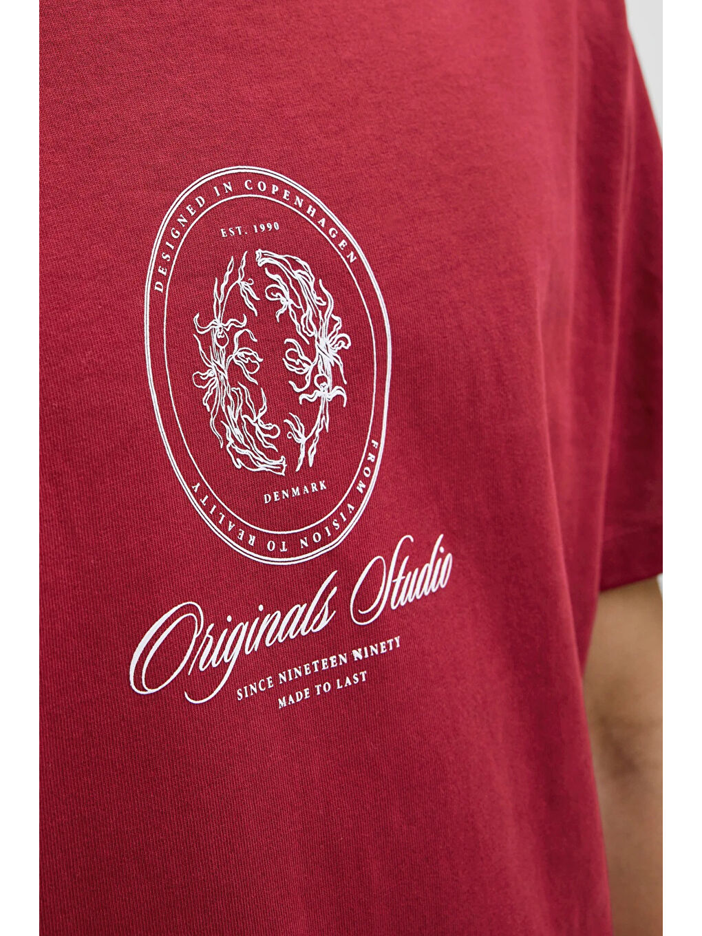 Bordo Originals Jordia Baskılı Pamuklu Relaxed Fit Bisiklet Yaka %100 Pamuk Tişört 12286609-5