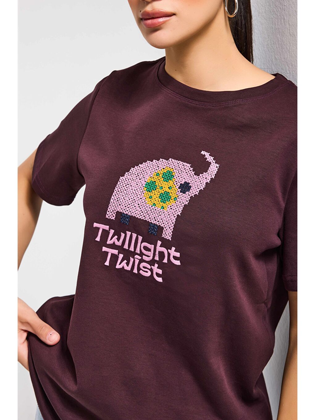 Kahverengi Kadın Kahve Bordo Renk w5 Nakış Detaylı Oversize Tasarım T-Shirt-2