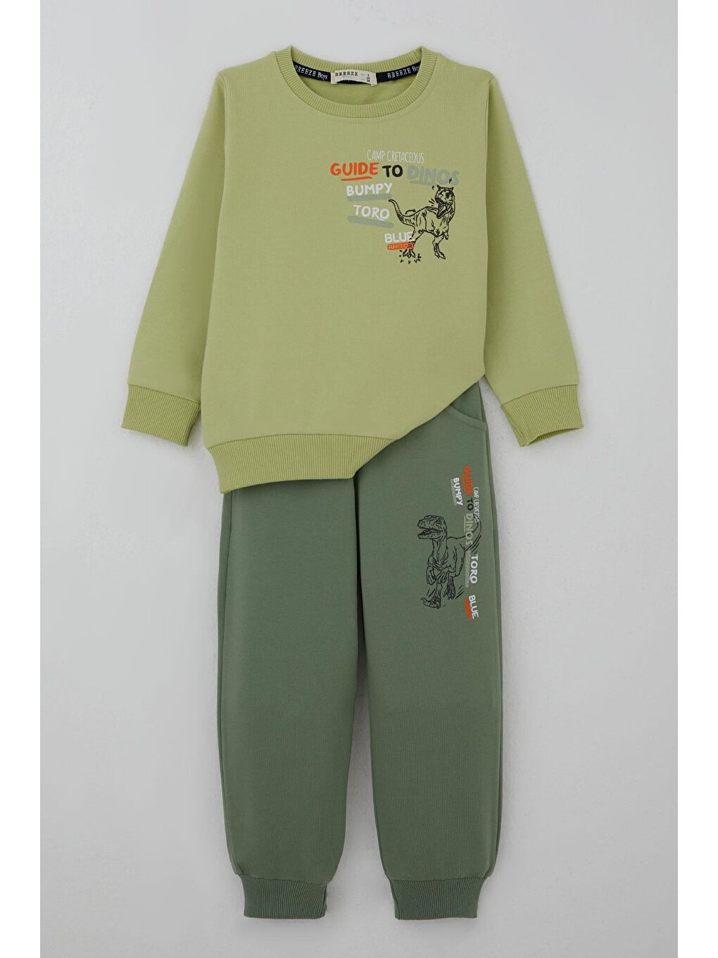 Erkek Çocuk Eşofman Takımı Dinozor Kampı Sırt Baskı Detaylı Fıstık Yeşili (2-6 Yaş)-2