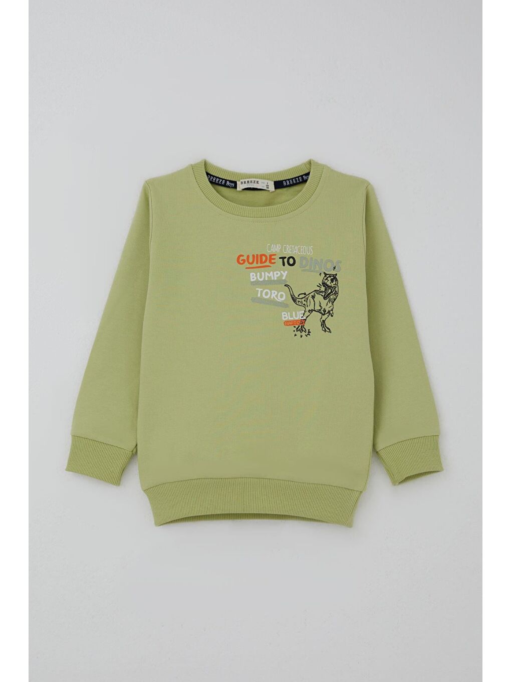 Erkek Çocuk Eşofman Takımı Dinozor Kampı Sırt Baskı Detaylı Fıstık Yeşili (2-6 Yaş)-3