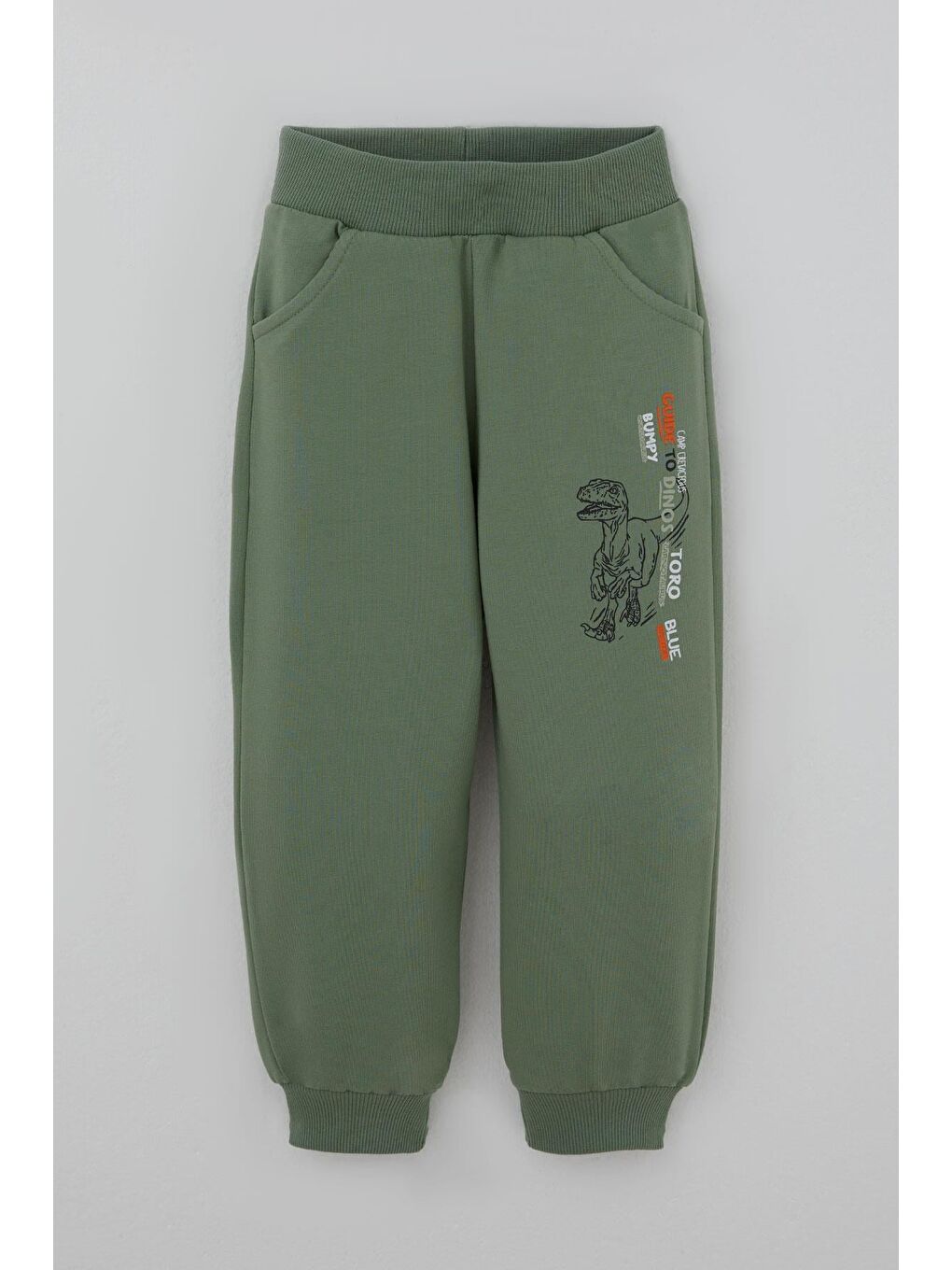 Erkek Çocuk Eşofman Takımı Dinozor Kampı Sırt Baskı Detaylı Fıstık Yeşili (2-6 Yaş)-4