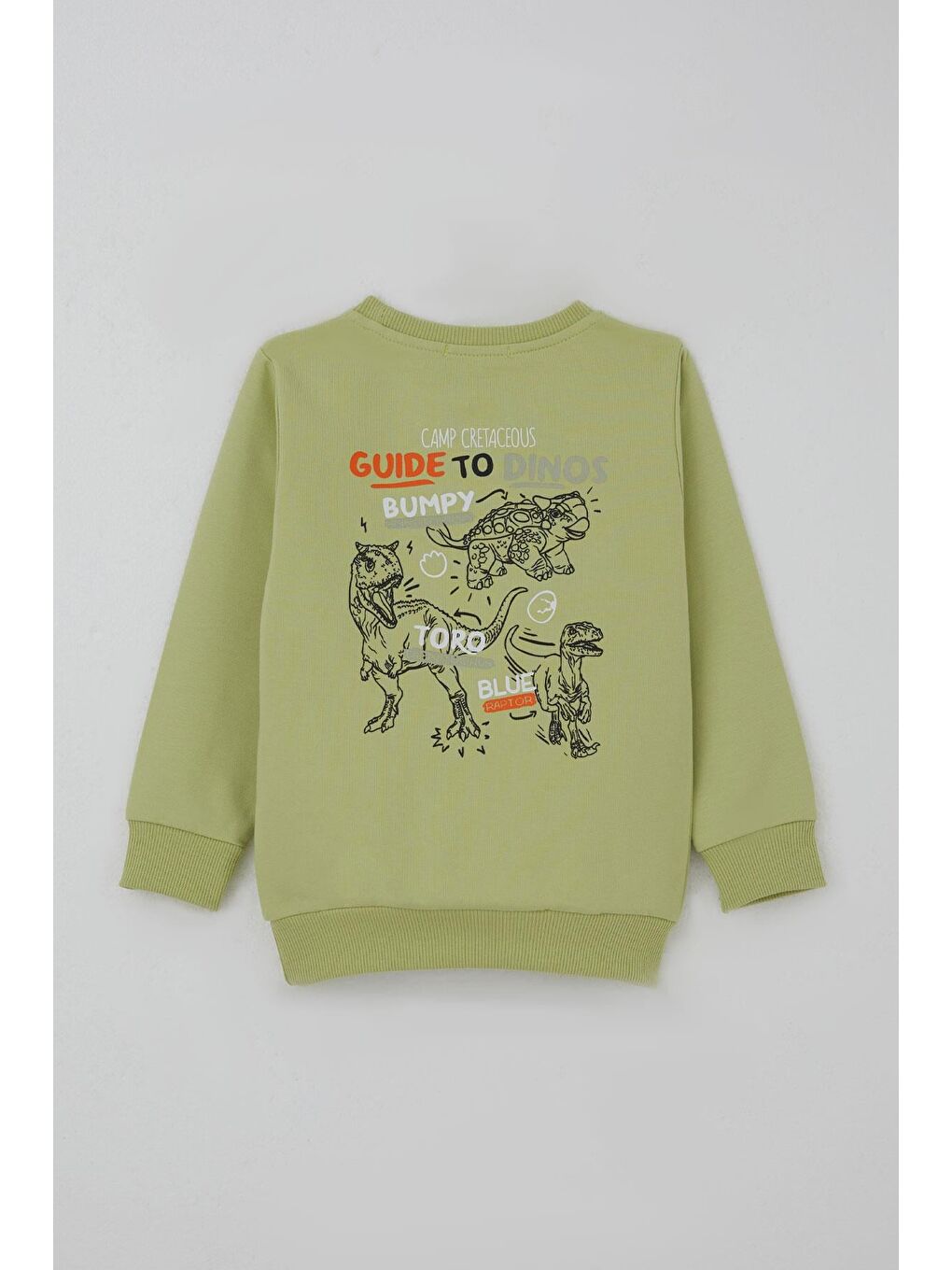 Erkek Çocuk Eşofman Takımı Dinozor Kampı Sırt Baskı Detaylı Fıstık Yeşili (2-6 Yaş)-5