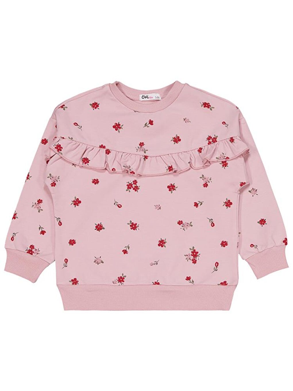 Pembe Girls Çiçek Empirme 2-5 Yaş Eşofman Takımı-2