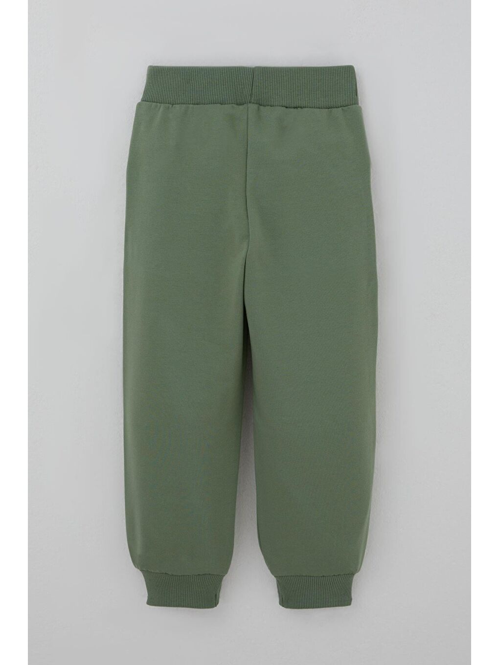 Erkek Çocuk Eşofman Takımı Dinozor Kampı Sırt Baskı Detaylı Fıstık Yeşili (2-6 Yaş)-6