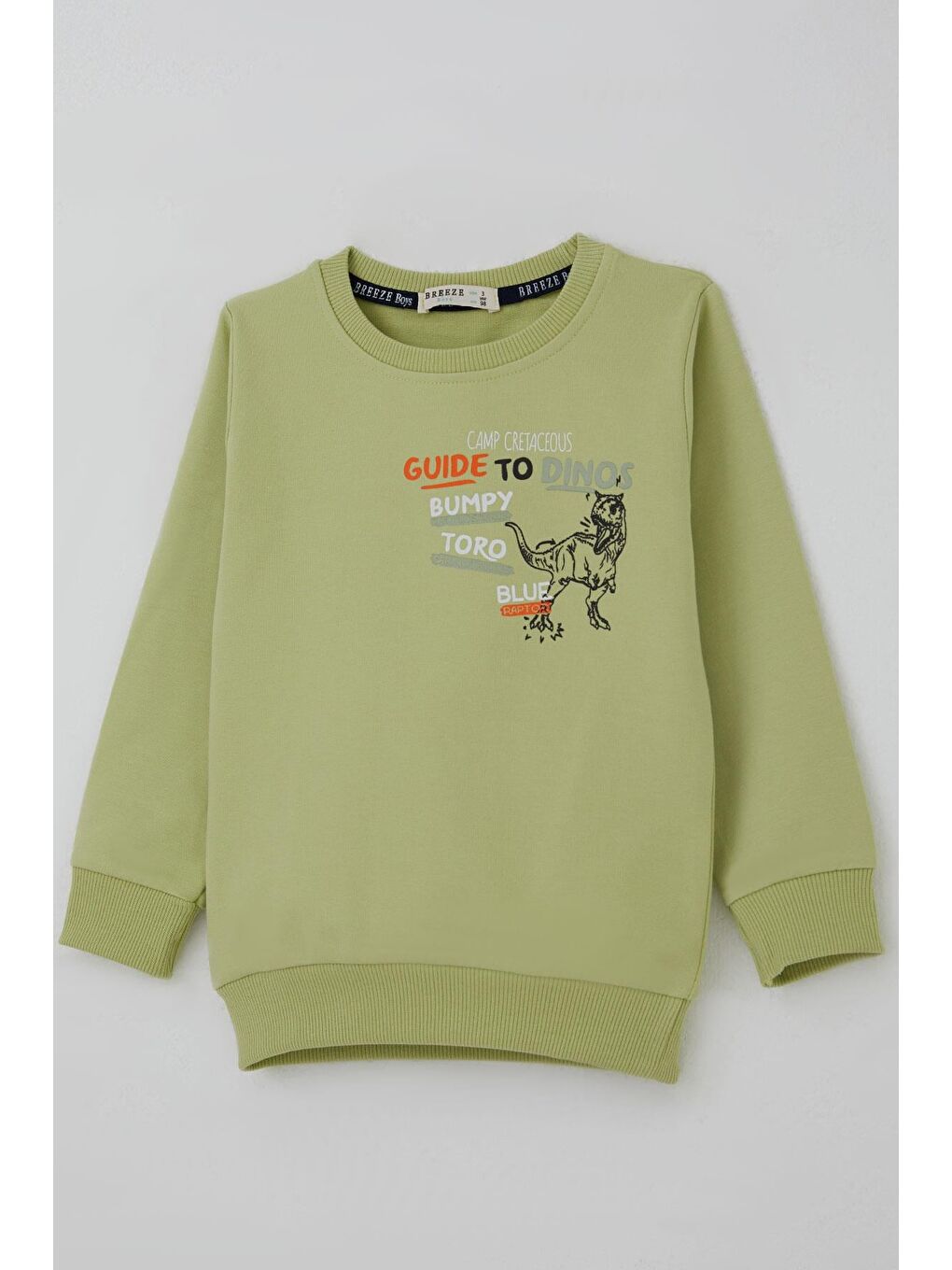 Erkek Çocuk Eşofman Takımı Dinozor Kampı Sırt Baskı Detaylı Fıstık Yeşili (2-6 Yaş)-7