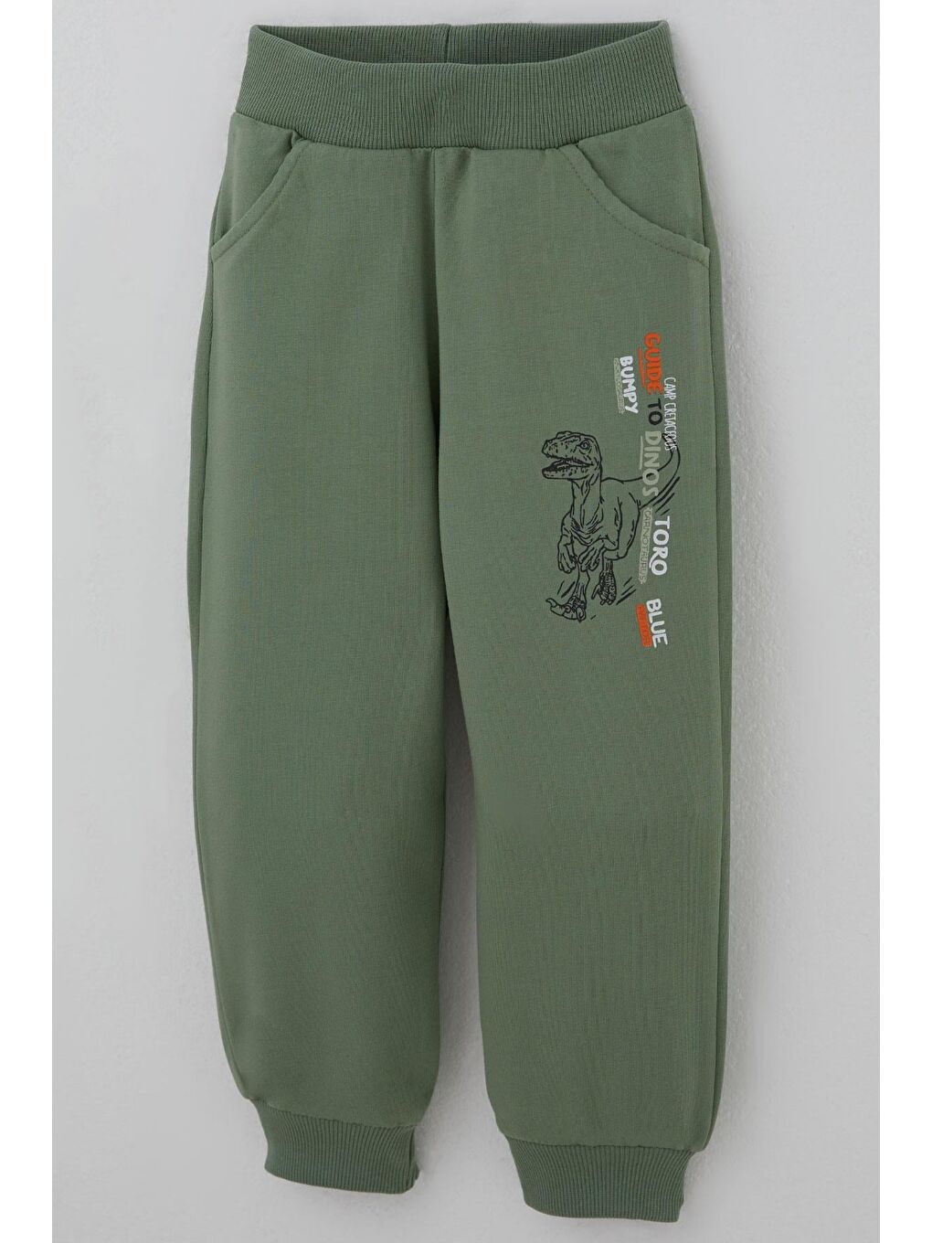 Erkek Çocuk Eşofman Takımı Dinozor Kampı Sırt Baskı Detaylı Fıstık Yeşili (2-6 Yaş)-8