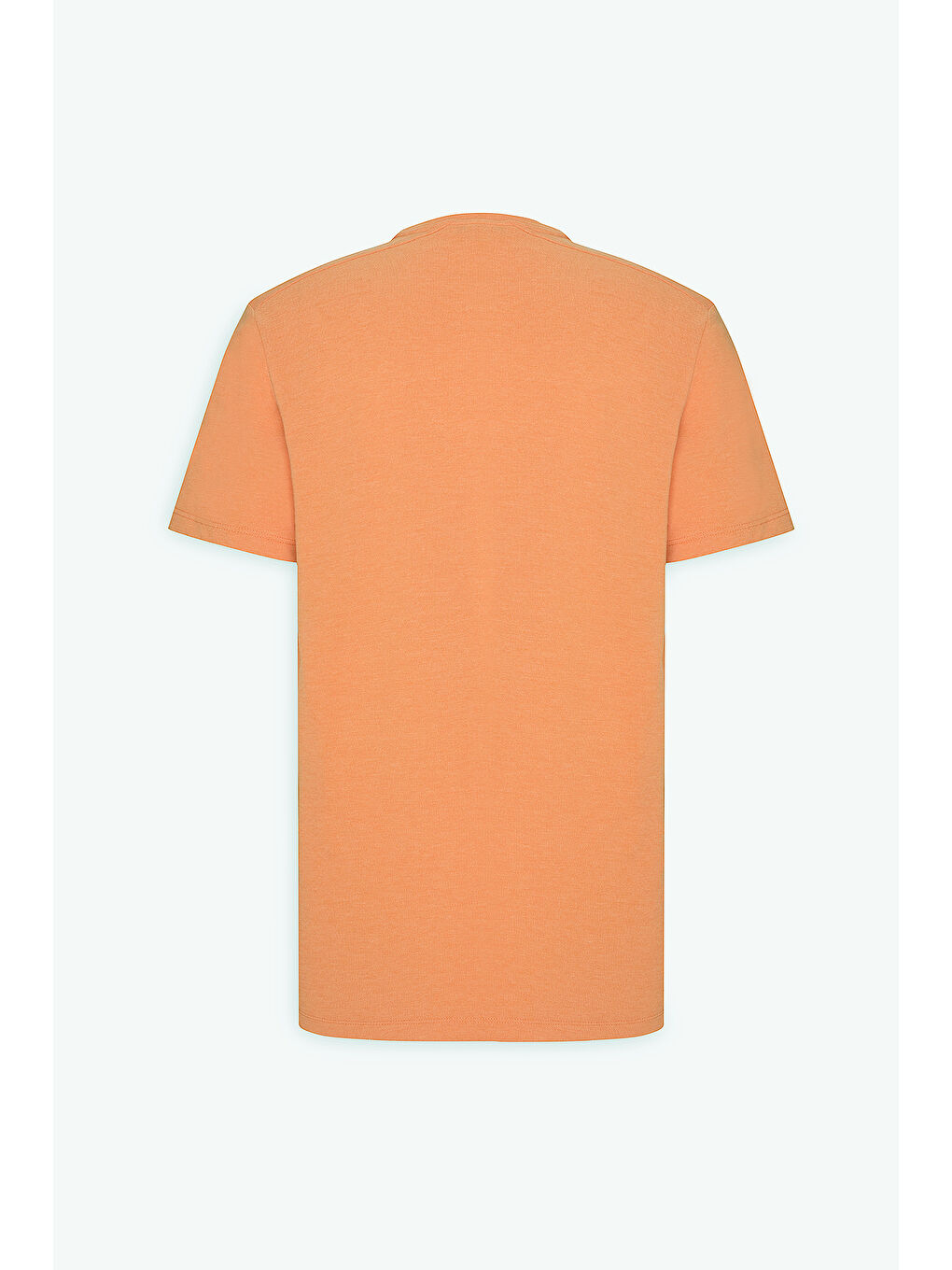 Erkek Turuncu Slim Fit Dar Kesim Pamuklu Bisiklet Yaka Tişört-8
