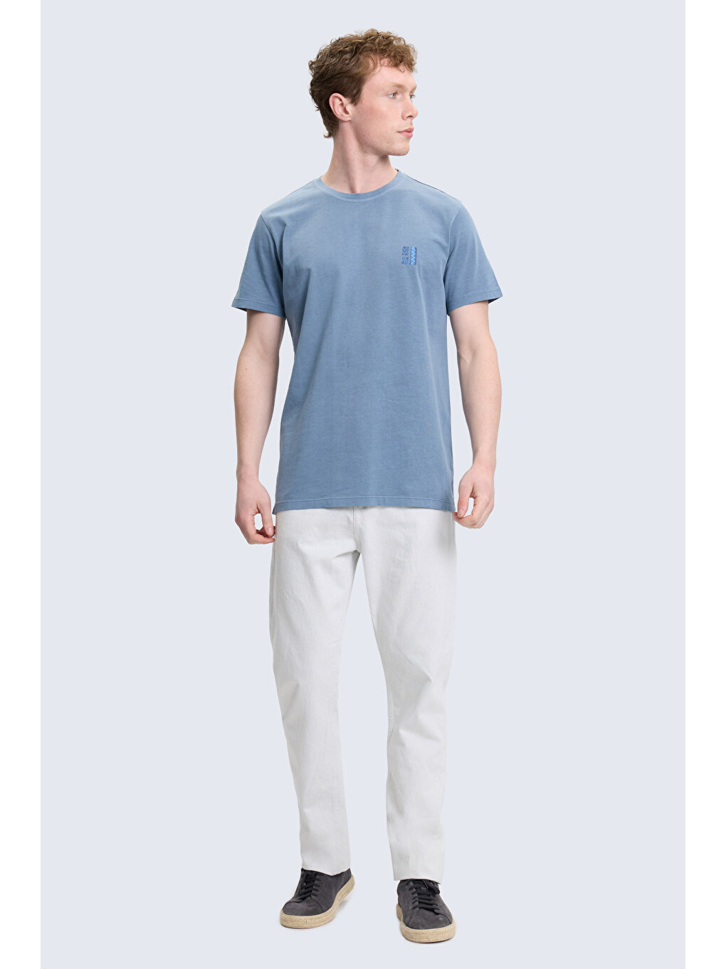 Mavi Regular Fit Baskılı Bisiklet Yaka 100% Pamuk Tişört-1