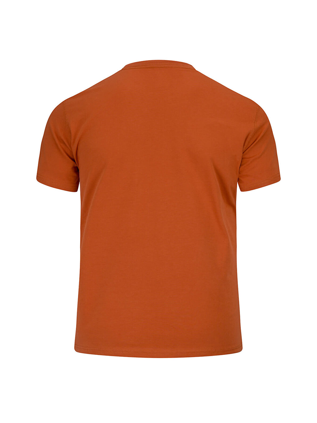 Turuncu Regular Fit Bisiklet Yaka 100 Pamuk Tişört-3