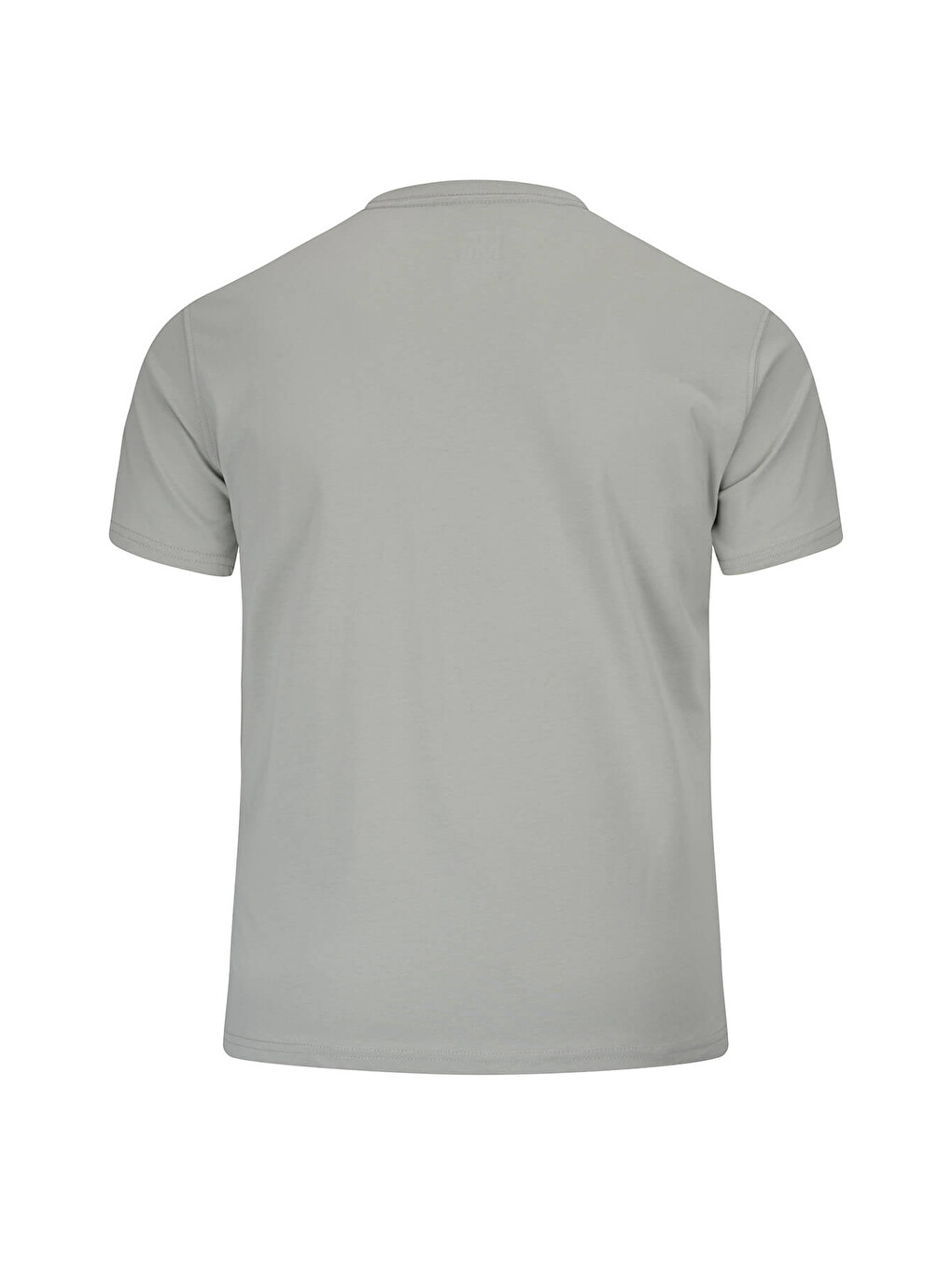 Yeşil Regular Fit Bisiklet Yaka 100 Pamuk Tişört-3